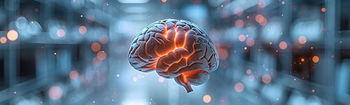La neuroeducación y cómo aplicarla en la enseñanza