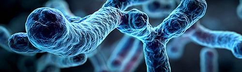 ¿Dónde puedo hacer el curso de Legionella homologado?