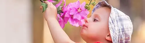 La bandeja sensorial y cómo despertar sentidos en los niños